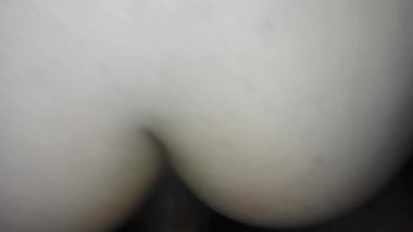 ass sas