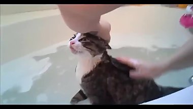 Super wet pussy COMPILATION