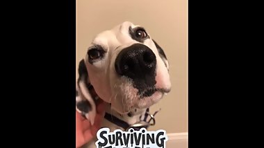 Good Girl Gets A Rub