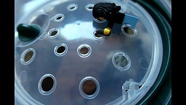 Schul Projekt 6te Klasse